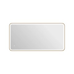 60 Inch Rectangle LED Front and Backlit Wall Mirror in Satin Gold