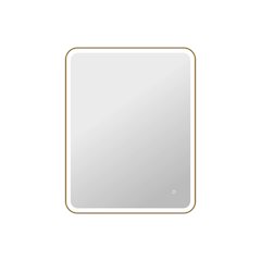 42 Round LED Front and Backlit Wall Mirror in Satin Gold
