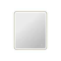 42 Round LED Front and Backlit Wall Mirror in Satin Gold