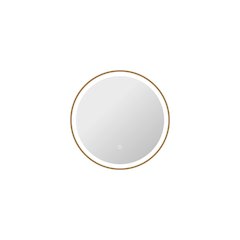 24 Round LED Front and Backlit Wall Mirror in Satin Gold