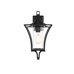 Belgrade 9.5 Inch Outdoor Wall Sconce In Black