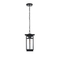 Livingston 7 inch Outdoor Pendant in Black
