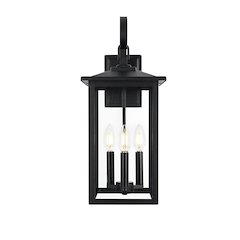 Carisle 7 inch Outdoor Pendant in Black
