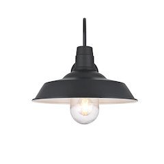Rayan 14 Inch Outdoor Wall Sconce In Black