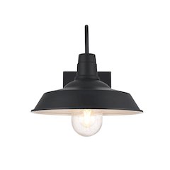 Rayan 14 Inch Outdoor Wall Sconce In Black
