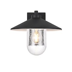 Scott 10 Inch Outdoor Wall Sconce In Black