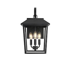 Riggs 10 inch Outdoor Wall Sconce in Black