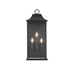 Shepard 10 inch Outdoor Wall Sconce in Black