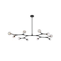 Zayne 10 Light Pendant in Black