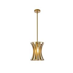 Lily 1 light pendant in brass