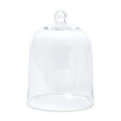 Extra Lg Bell Jar 16'' X 12''