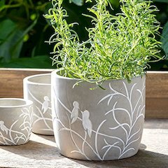 Lovebirds Silouette Cement Pot, Large