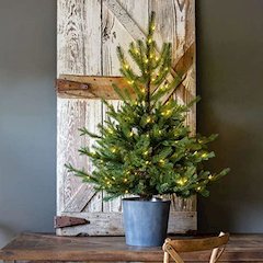 Potted Mixed Pine Porch Tree, Lighted