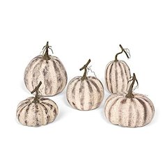 Farmhouse Pumpkin Set of 5