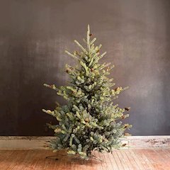 Blue Spruce Christmas Tree, 7.5'