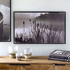 Framed Cattail Print
