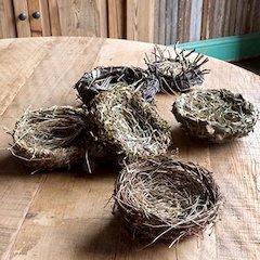 Nest Collection Set of 6