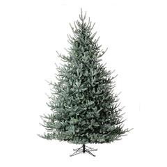 Blue Spruce Christmas Tree, 12'