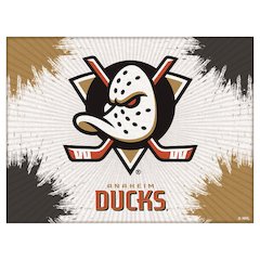 Anaheim Ducks 24" x 32" Officially Licensed Logo Canvas