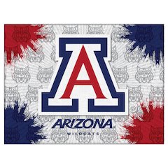 Arizona 24" x 32" Officially Licensed Logo Canvas
