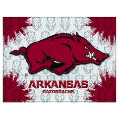Arkansas 24" x 32" Officially Licensed Logo Canvas
