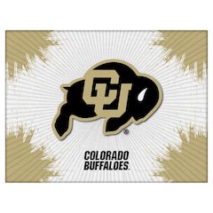 Colorado 24" x 32" Officially Licensed Logo Canvas
