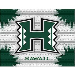 Hawaii 24" x 32" Officially Licensed Logo Canvas