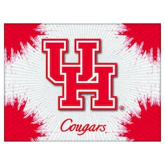 Houston 24" x 32" Officially Licensed Logo Canvas