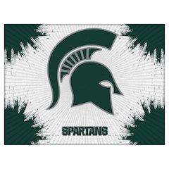 Michigan State 24" x 32" Officially Licensed Logo Canvas