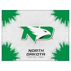 North Dakota 24" x 32" Officially Licensed Logo Canvas