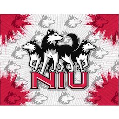Northern Illinois 24" x 32" Officially Licensed Logo Canvas