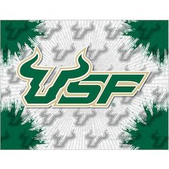 South Florida 24" x 32" Officially Licensed Logo Canvas