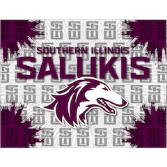 Southern Illinois 24" x 32" Officially Licensed Logo Canvas