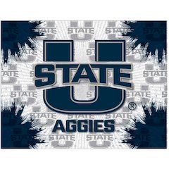 Utah State 24" x 32" Officially Licensed Logo Canvas