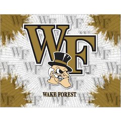 Wake Forest 24" x 32" Officially Licensed Logo Canvas
