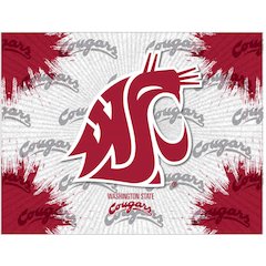 Washington State 24" x 32" Officially Licensed Logo Canvas