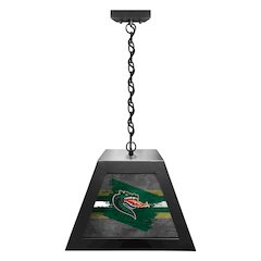 University of Alabama at Birmingham Pendant Box Light
