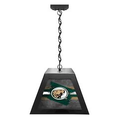 Bemidji State University Pendant Box Light
