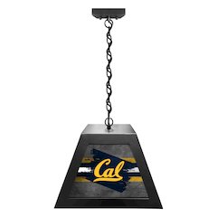 University of California Pendant Box Light