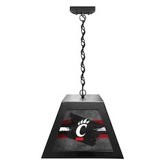 University of Cincinnati Pendant Box Light