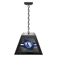 Eastern Illinois University Pendant Box Light