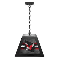 Eastern Washington University Pendant Box Light