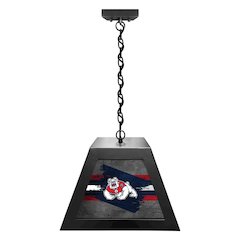 Fresno State University Pendant Box Light