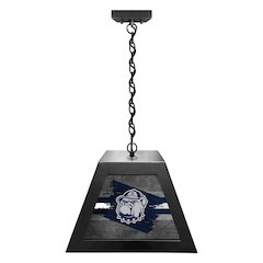Georgetown University Pendant Box Light