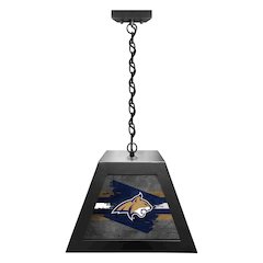 Montana State University Pendant Box Light