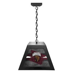 University of Montana Pendant Box Light