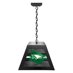 University of North Dakota Pendant Box Light