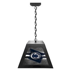 Pennsylvania State University Pendant Box Light