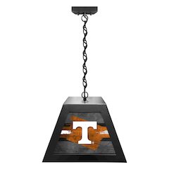 University of Tennessee Pendant Box Light