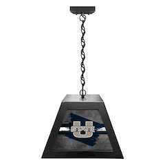 Utah State University Pendant Box Light